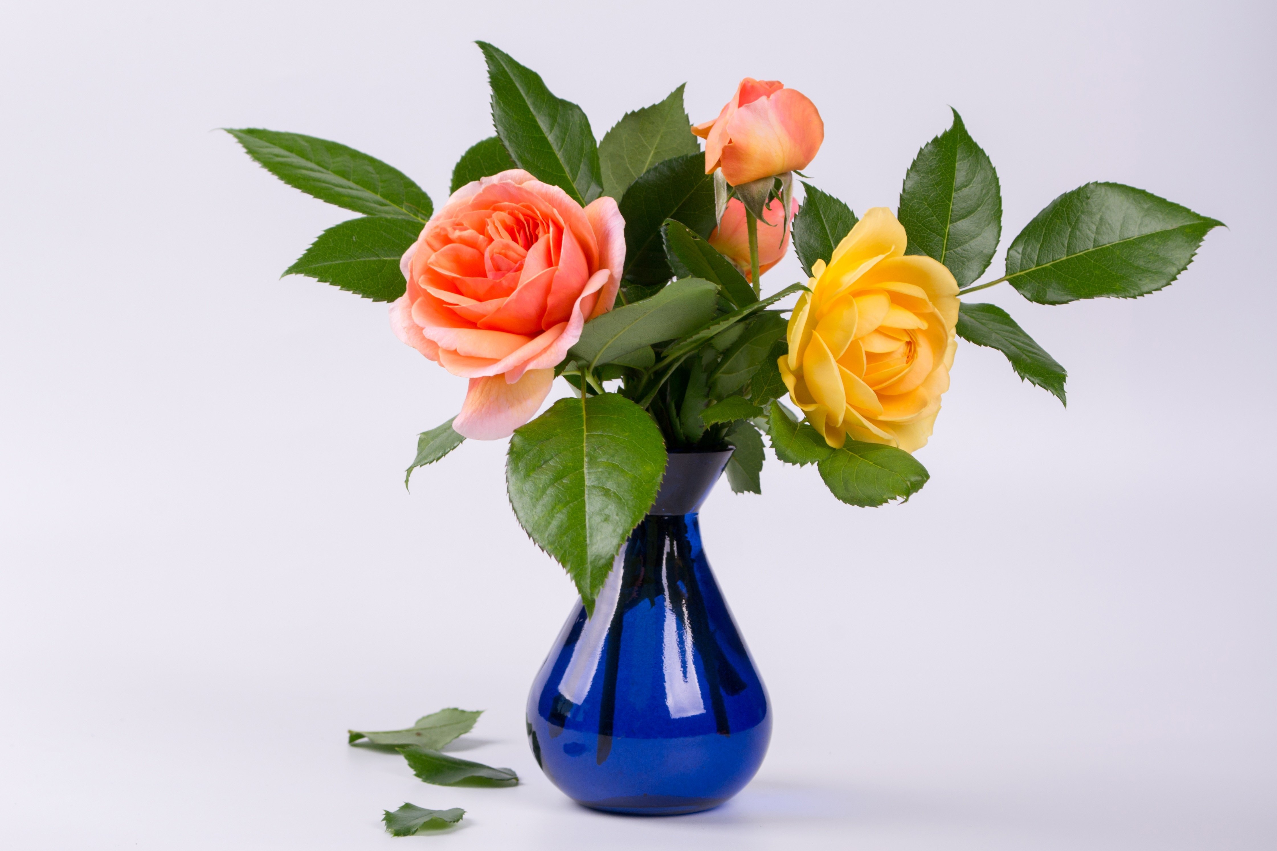 Три розы в вазе. Розы в вазе. Ваза с цветами. Оранжевые розы в вазе. Красивый букет в вазе.