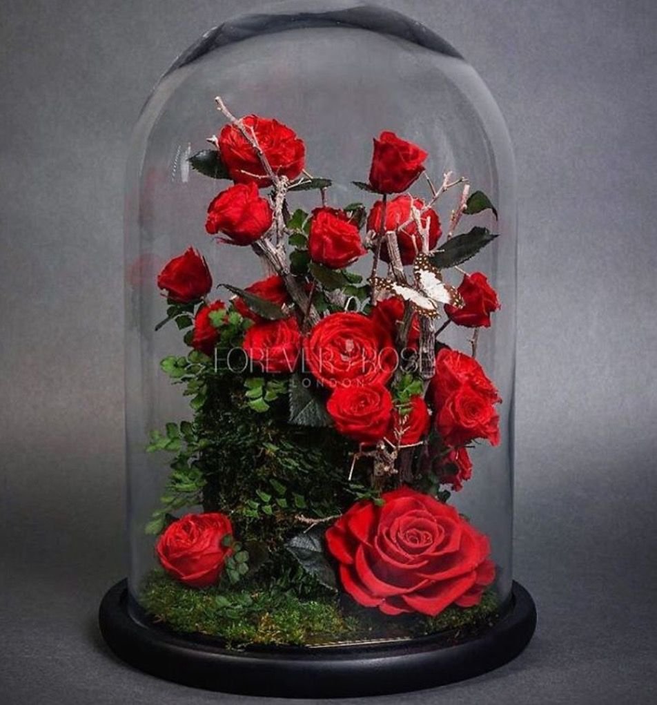 Почему вянут розы в вазе. Цветы в колбе. Цветы в колбе живые. Цветы в стекле ~ вакуум. Цветочная композиция в колбе.
