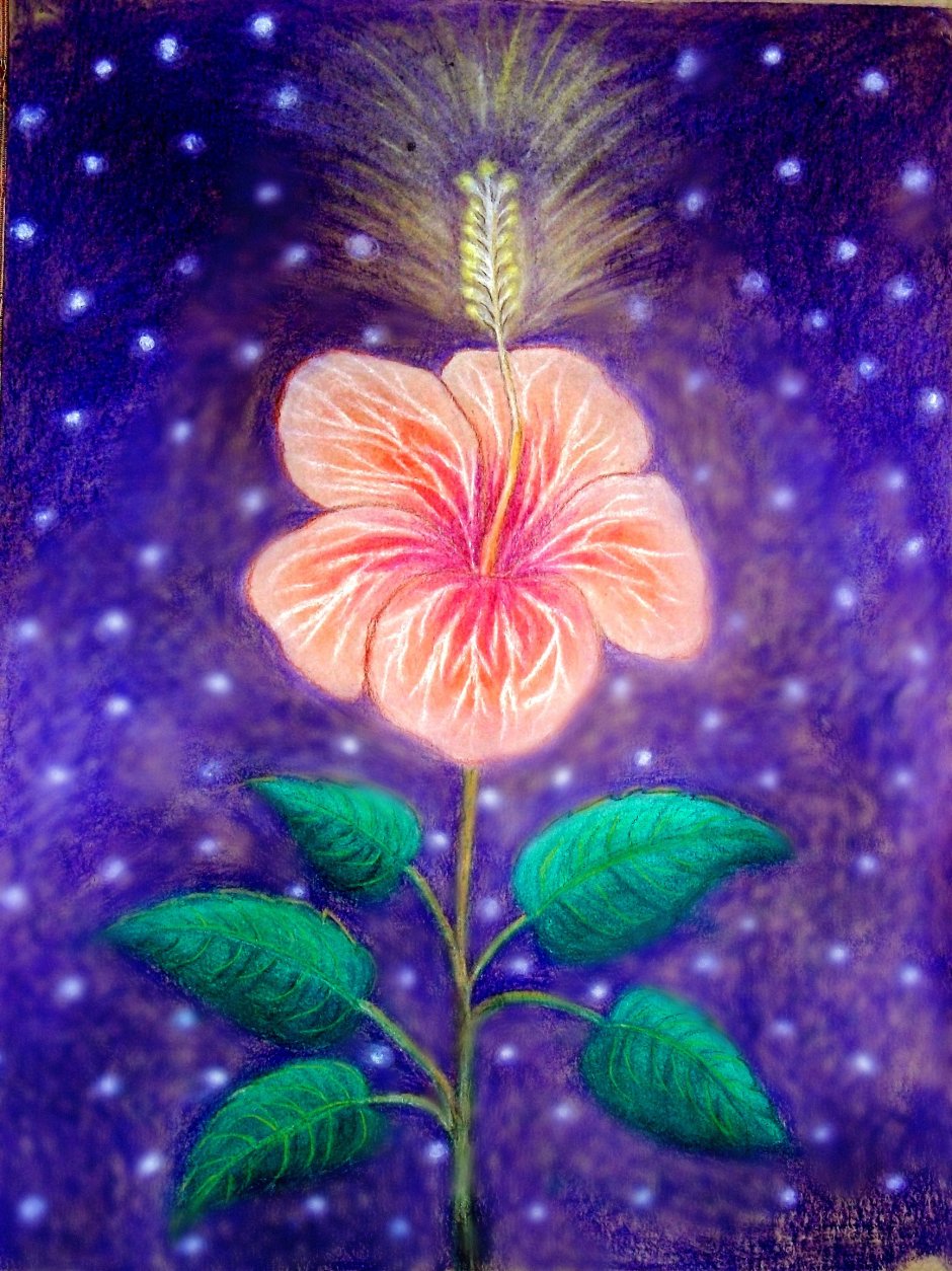 Волшебный цветок рисование