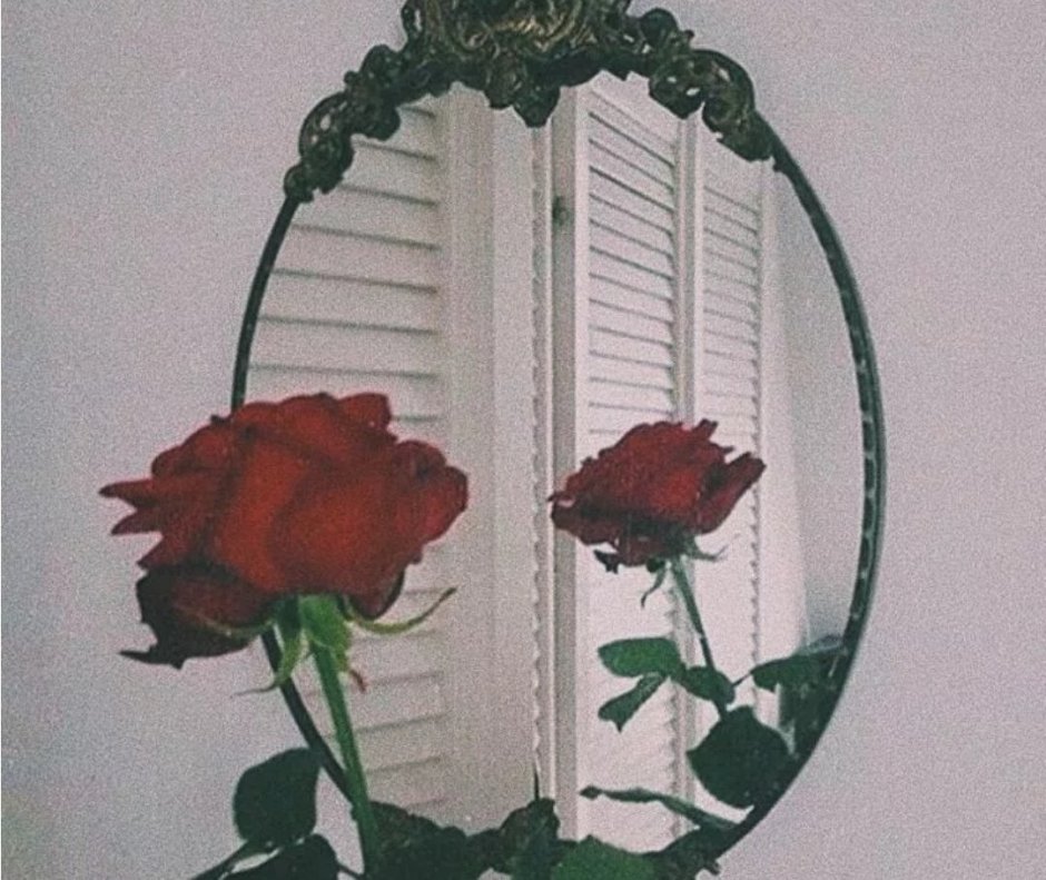 Цветок отражается в зеркале