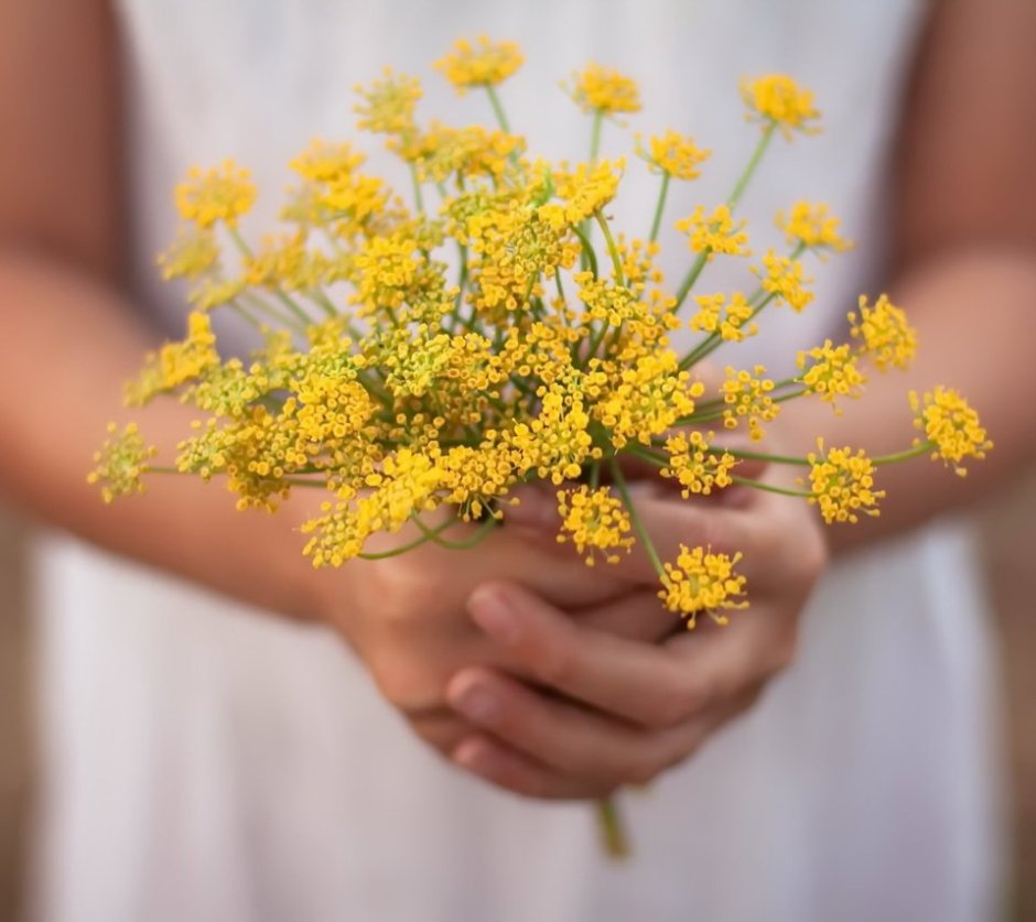 Желтый цветочек в руке