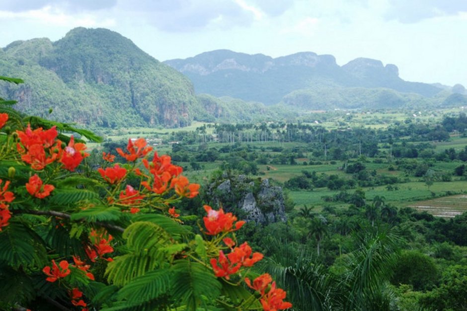 Красивые цветущие горы Пинар дель Рио