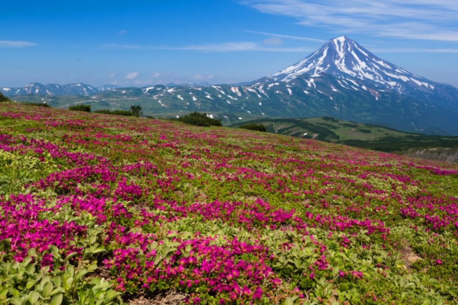 Природа Камчатки Петропавловск Камчатский