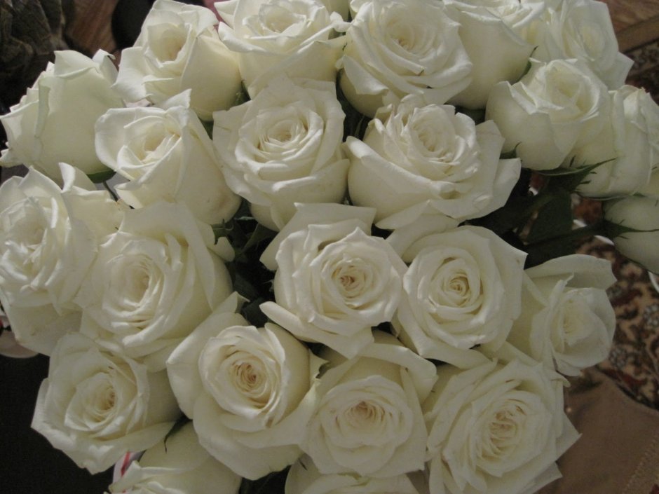 Белые розы в комнате