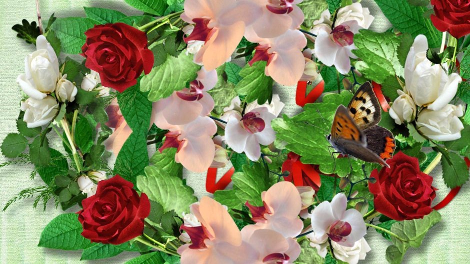 Открытка цветок и бабочка