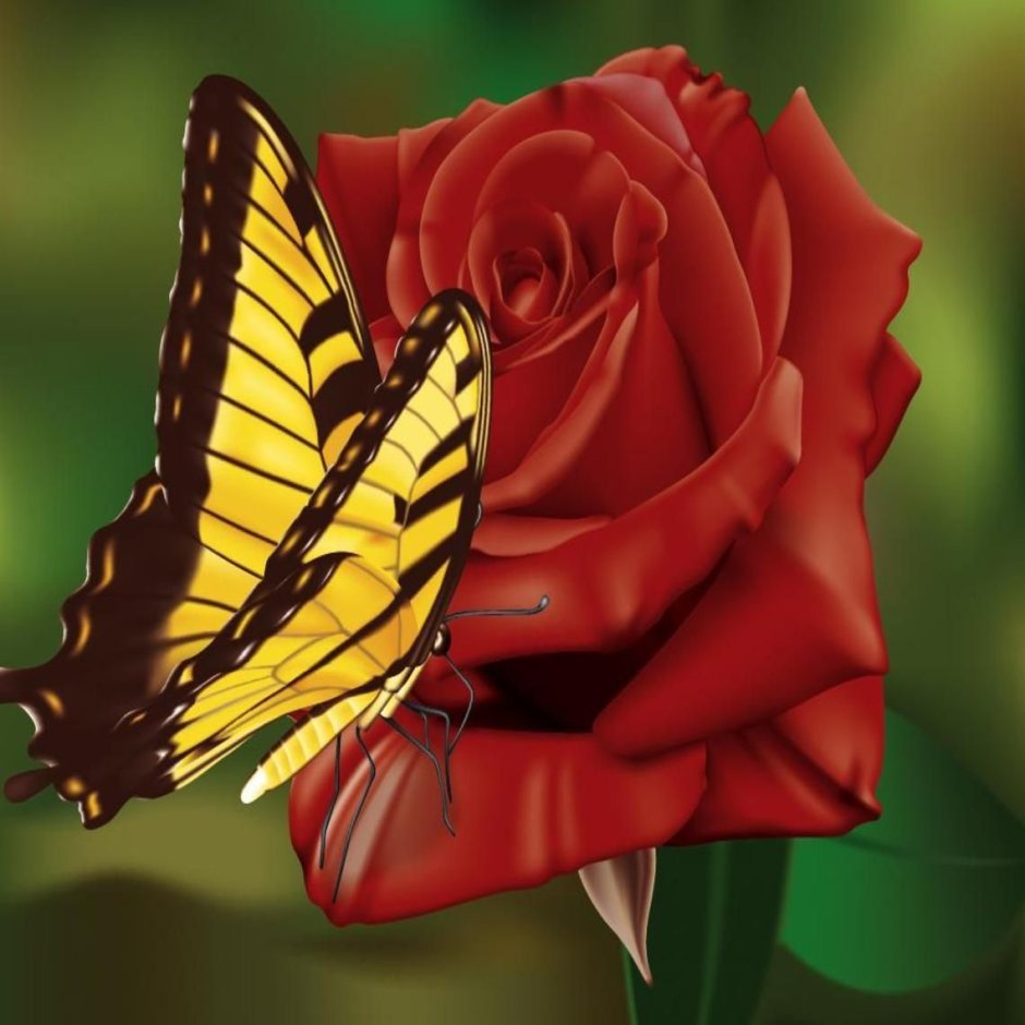 Красивые яркие бабочки на розах