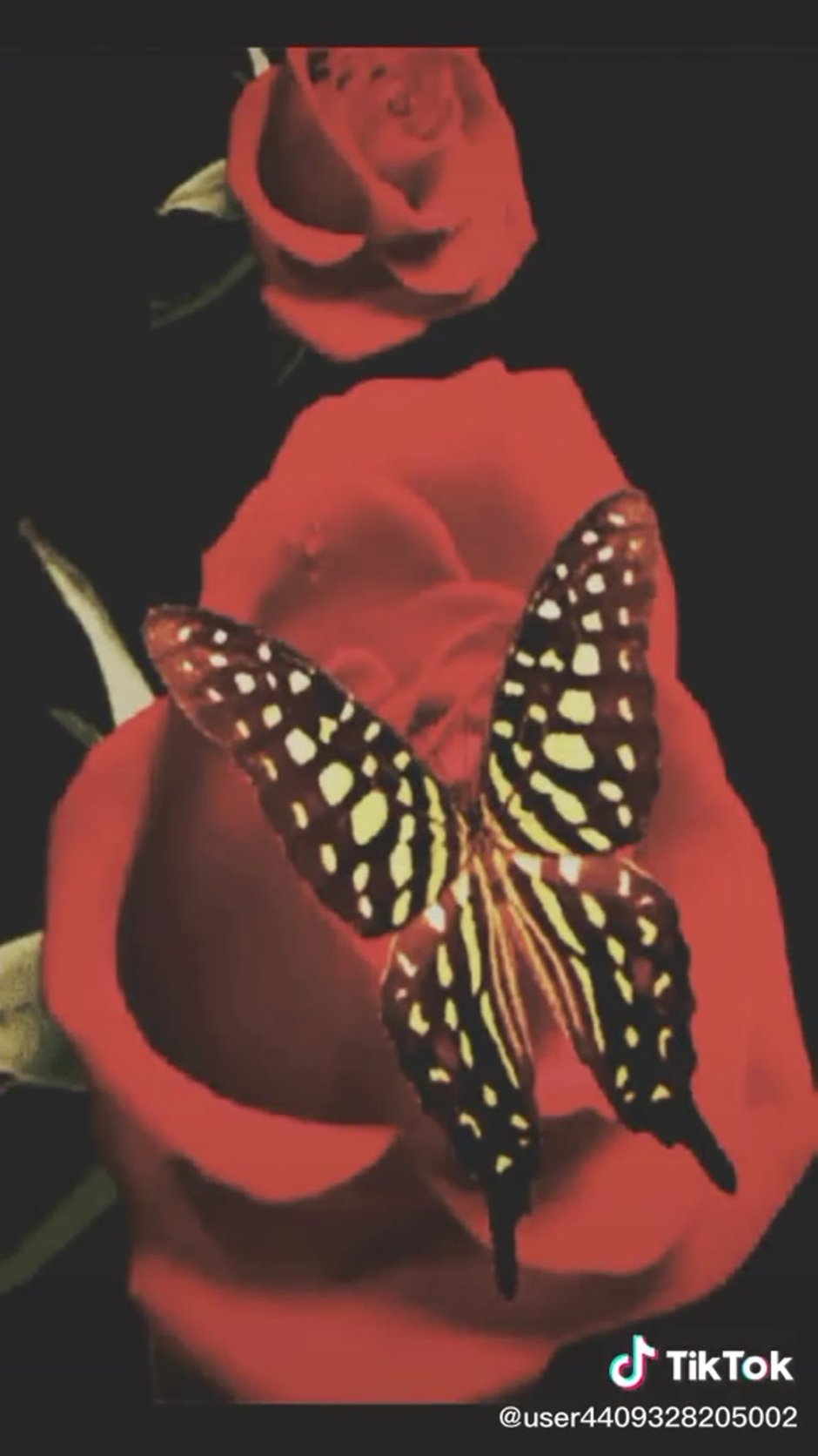 Анимированные бабочки на цветах