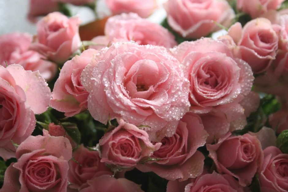 Розочки розовые