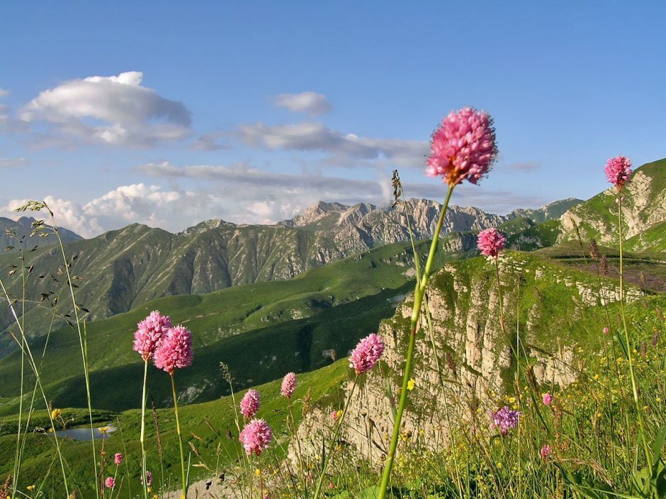 Альпийские Луга Абхазия в августе