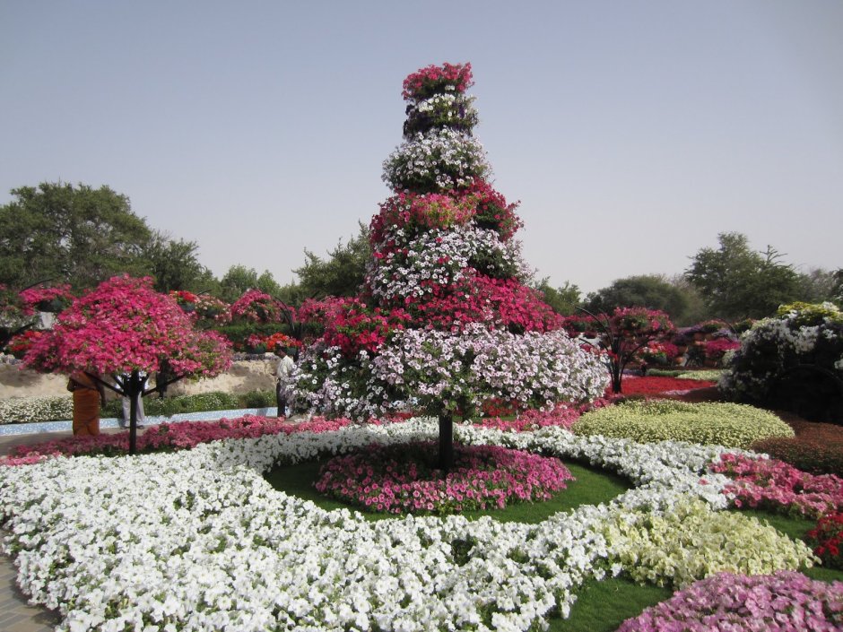 Al Ain Paradise парк