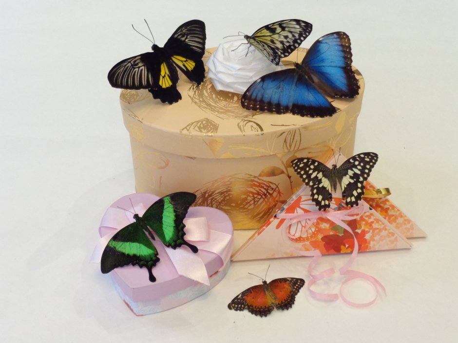 Бабочки вылетают из коробки