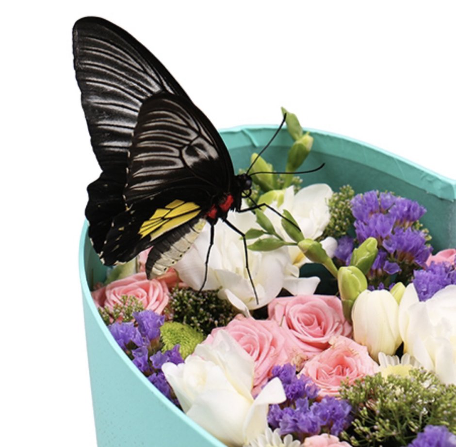 Коробка с цветами и бабочками