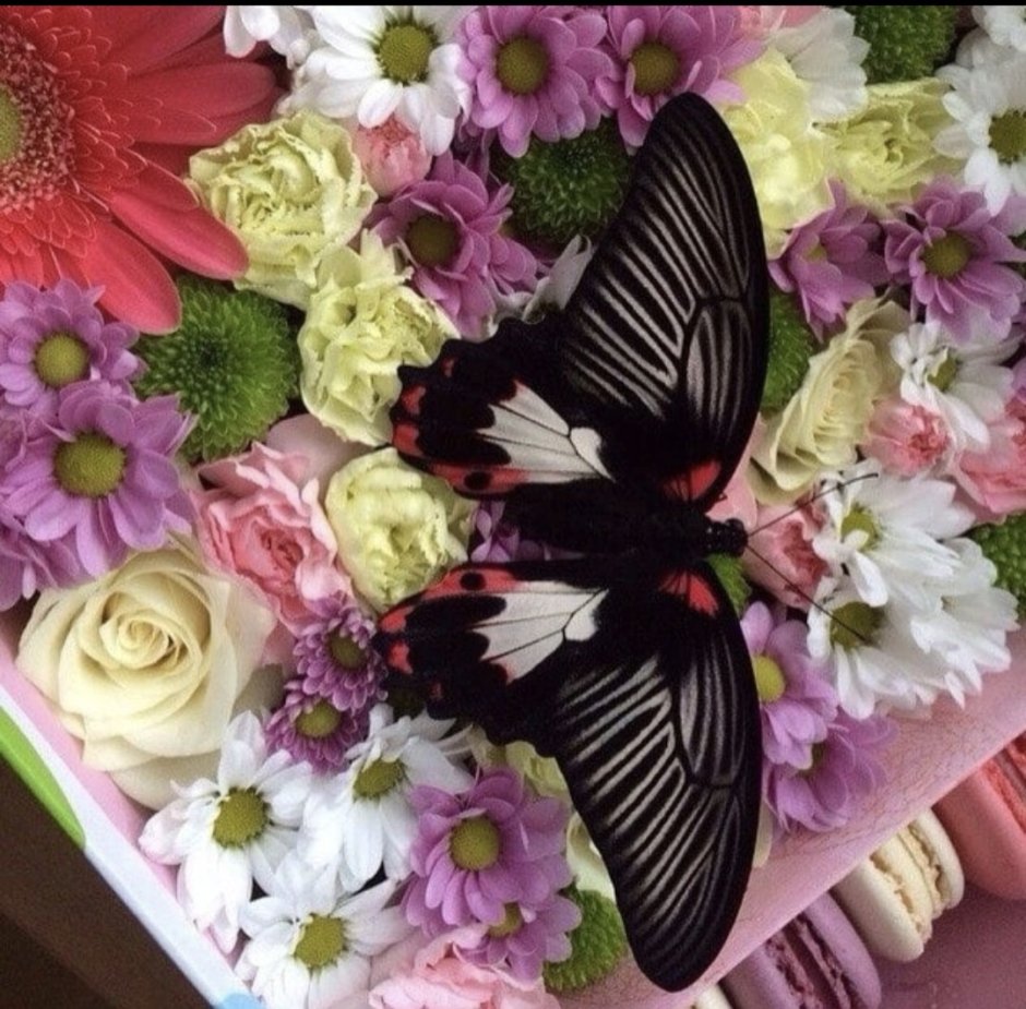 Букет с бабочками живыми