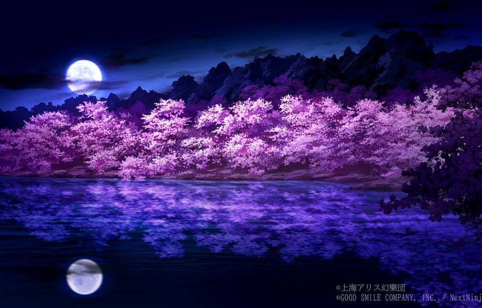 Сакура на фоне ночного неба