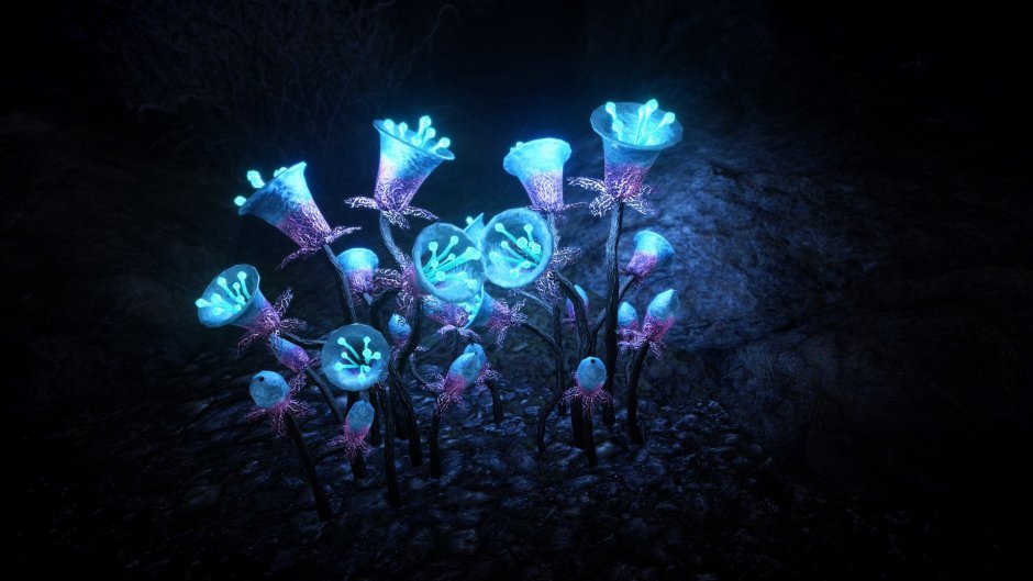 Люминесцентные растения
