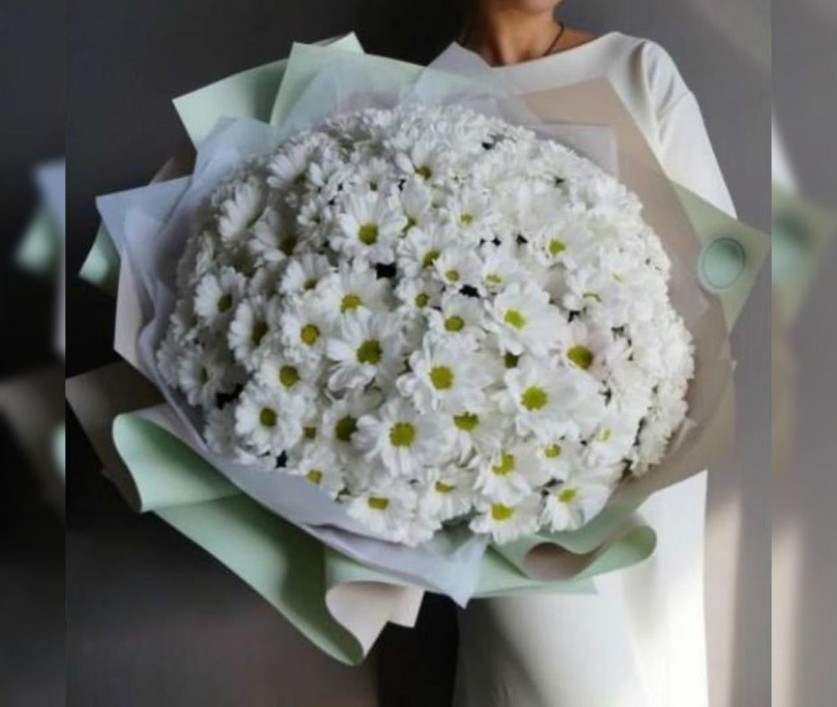 Букеты гиганты из белых хризантем бакарди