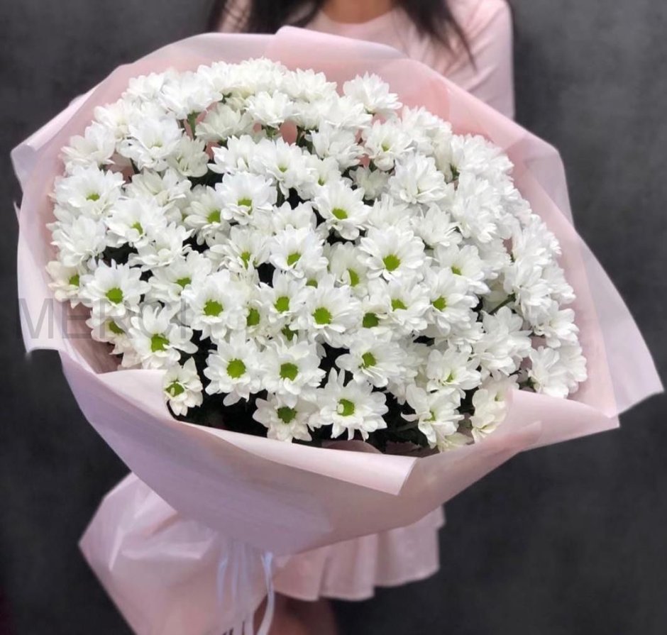 15 Белых кустовых хризантем цветы
