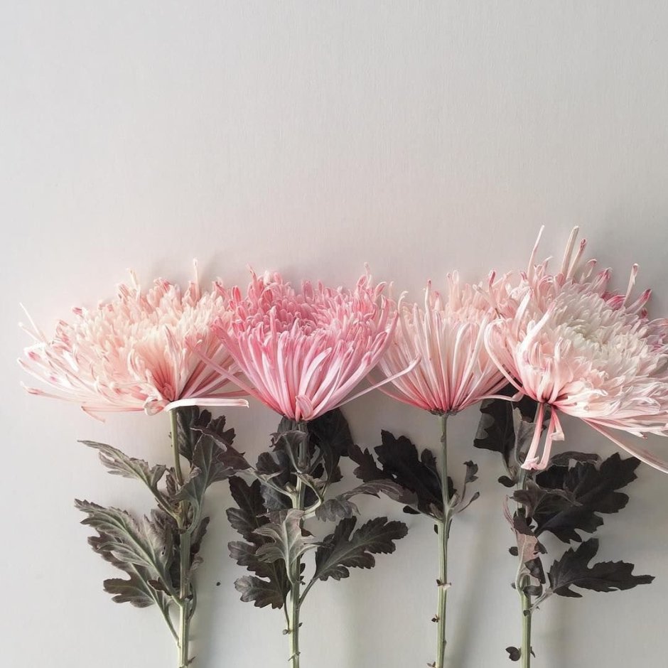 Цветы искусственные "Мелани" 6*100 см, свето-розовые