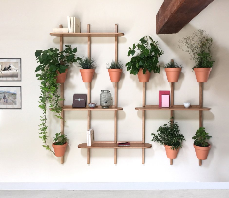 Plant Wall