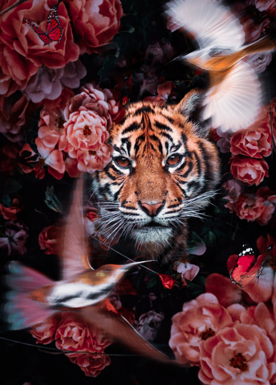 Тигр и цветы