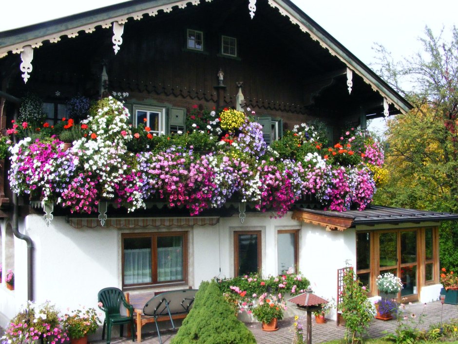 Цветы на австрийских домах