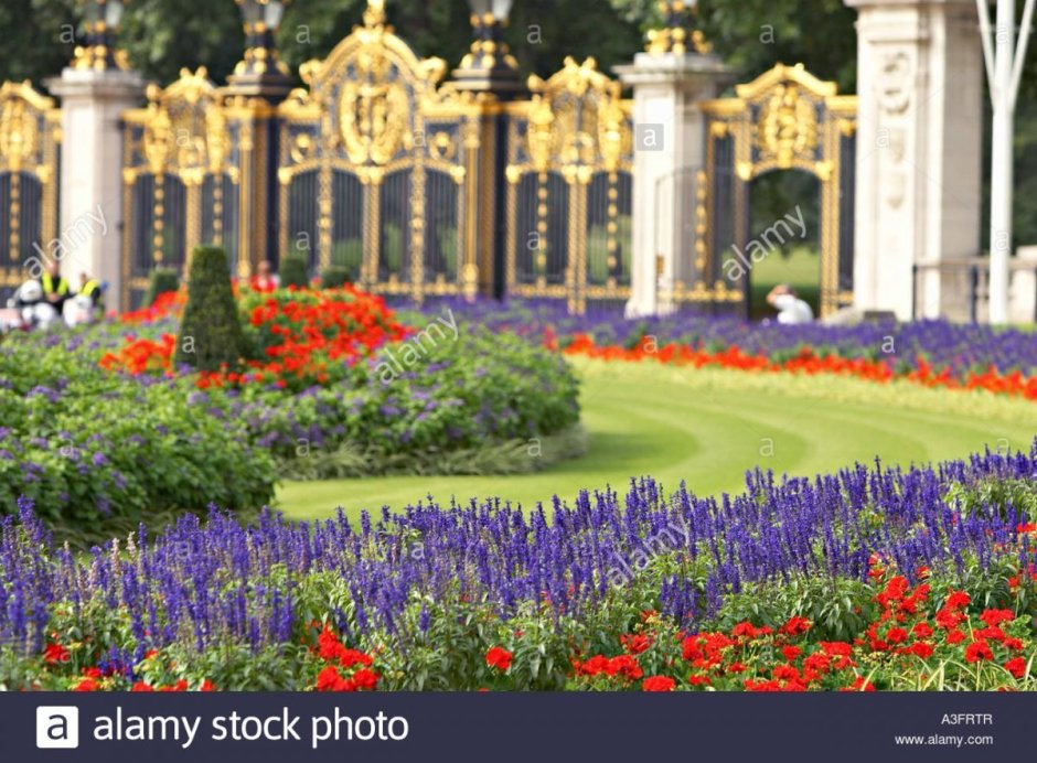 Королевский сад Букингемского дворца