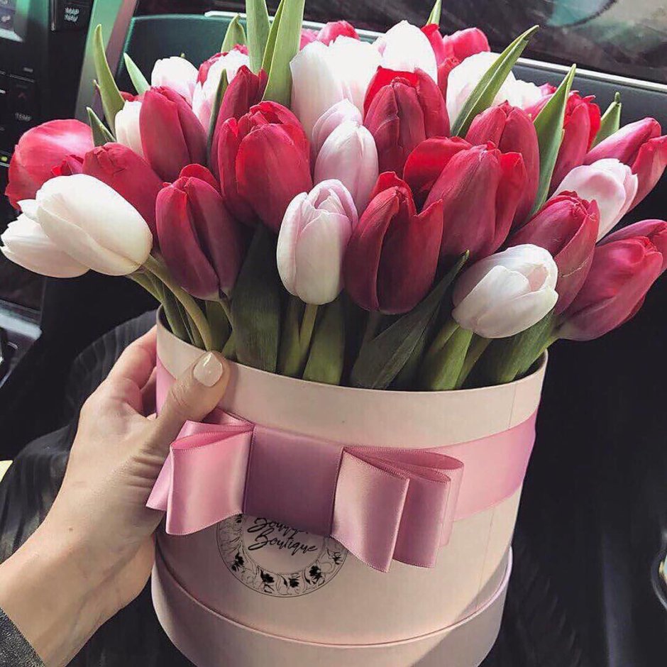 Красивые тюльпаны в руках