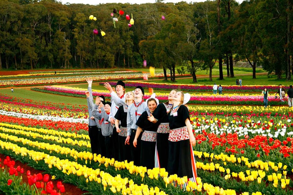 Tulip Festival in Tajikistan