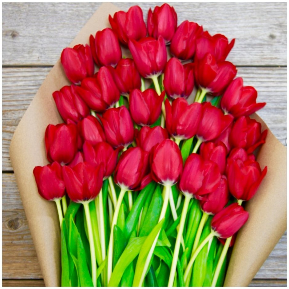 Тюльпаны для любимой