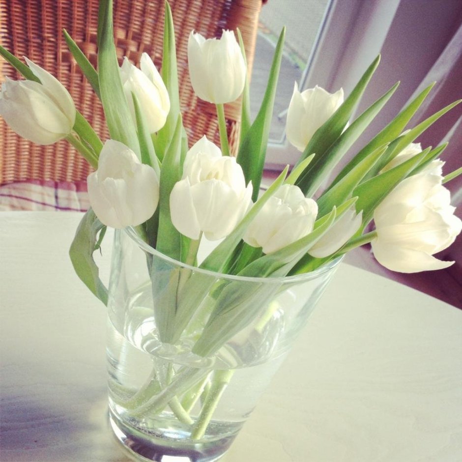Букет белых тюльпанов на столе