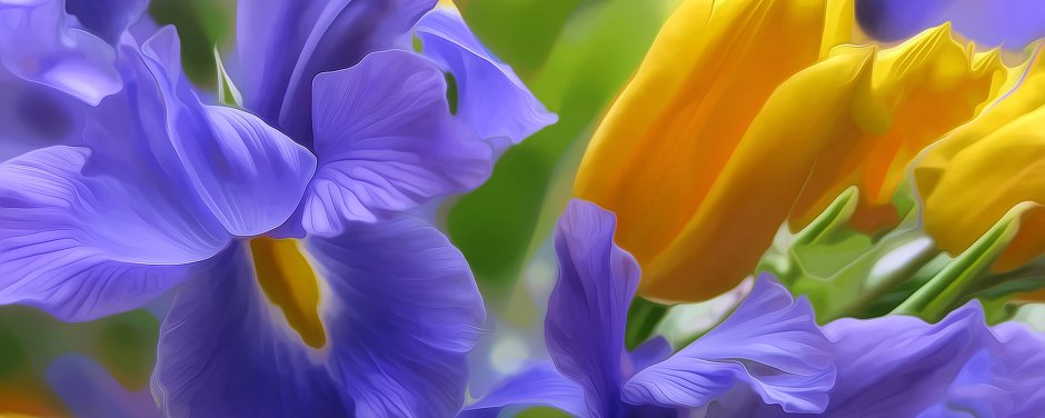 Цветы тюльпаны с ирисами
