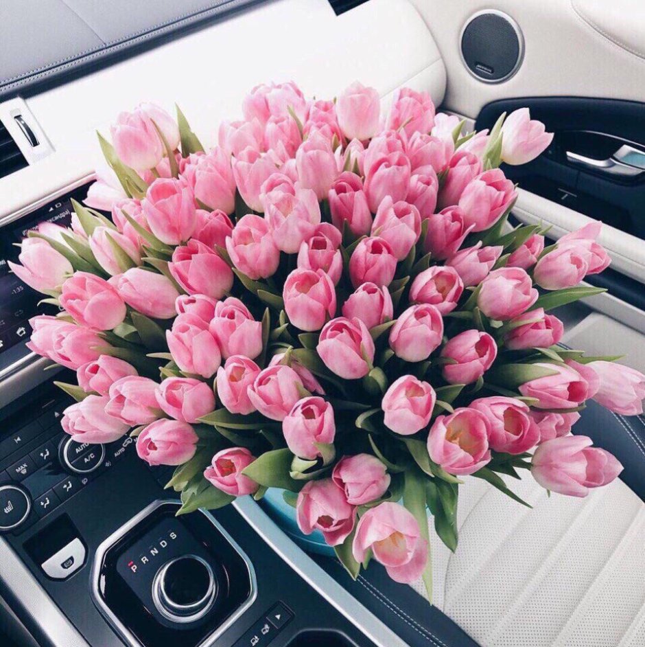 Тюльпаны в машине фото