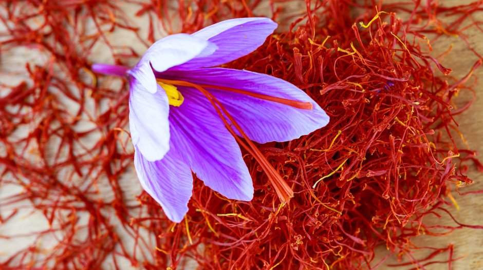 Цветок с шафрановыми тычинками