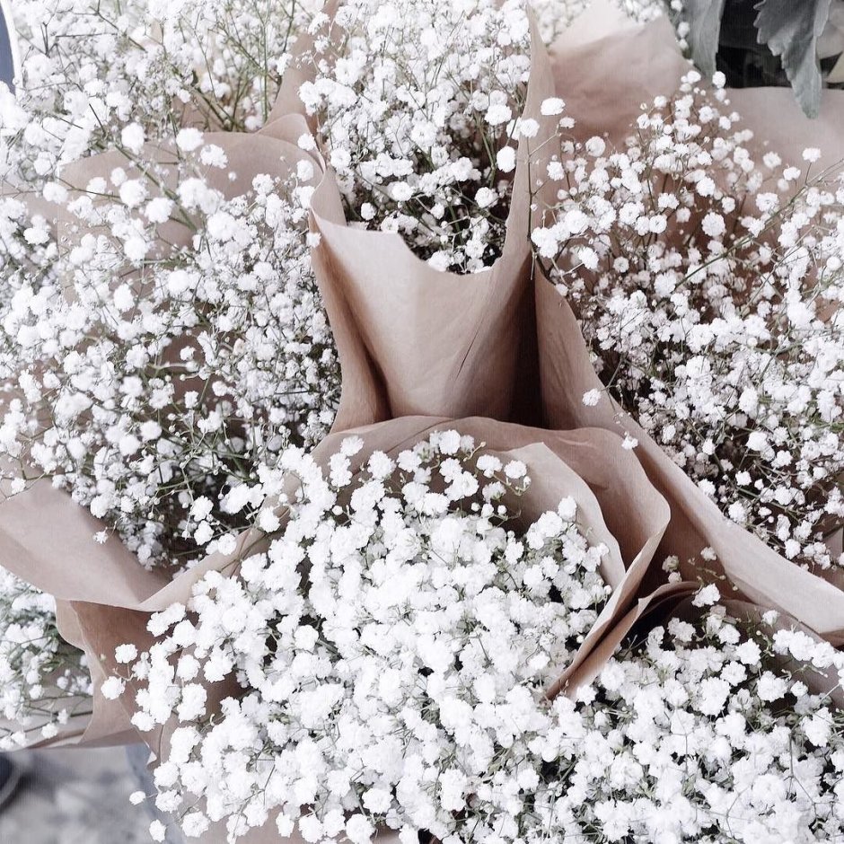 Белые мелкие цветы в мае
