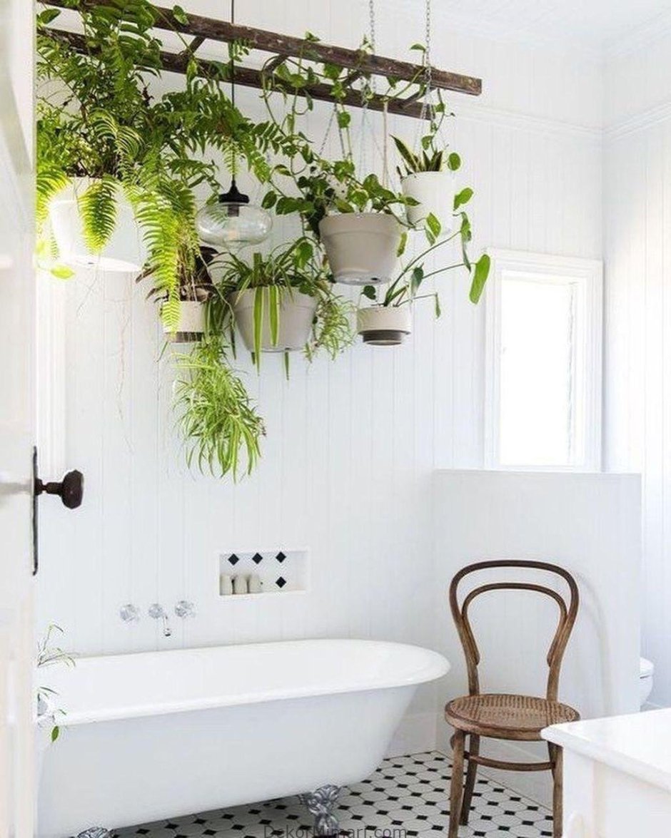 Комнатные растения в ванной
