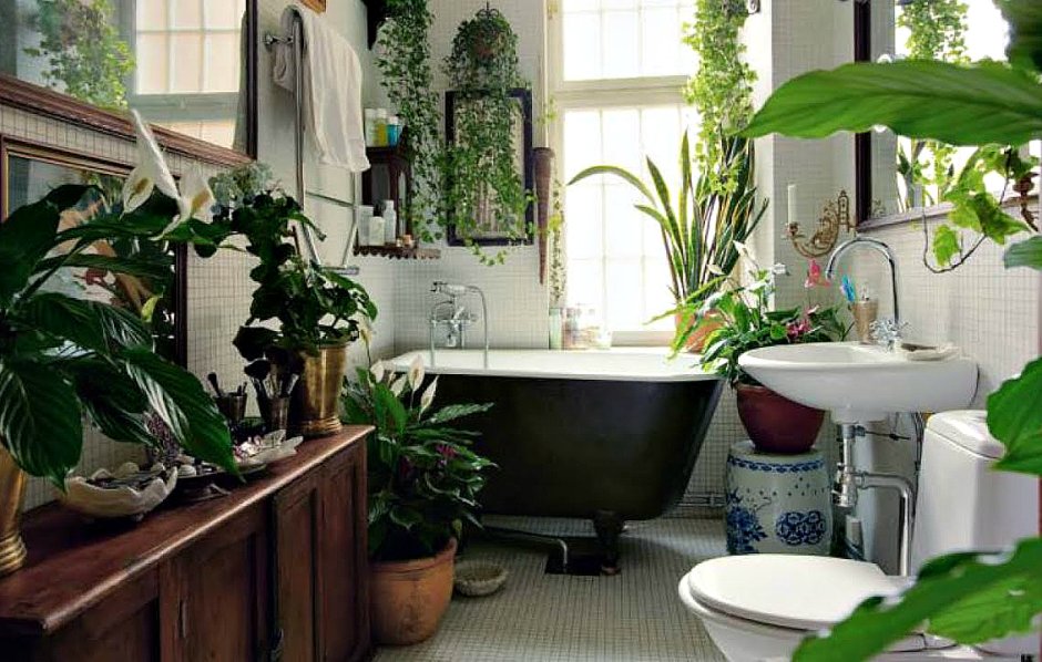 Ванная с растениями