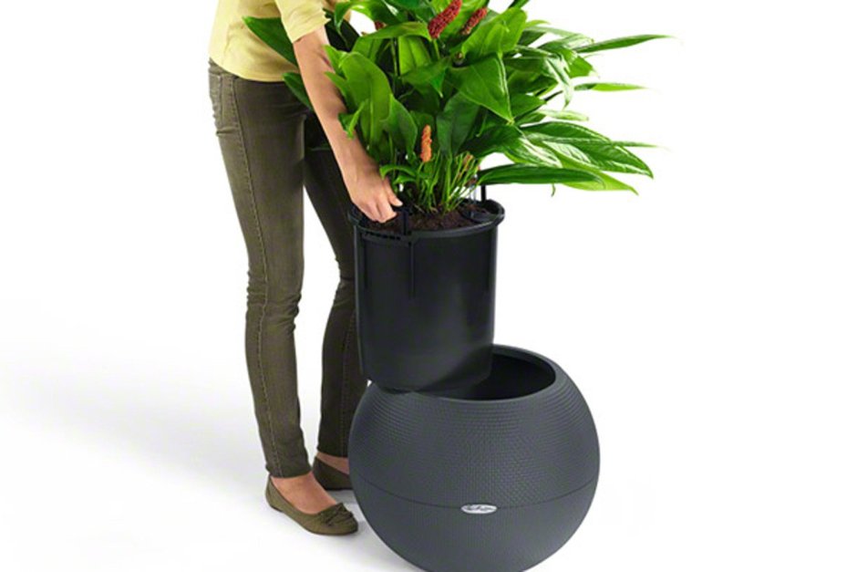 Лечуза puro Color Planter