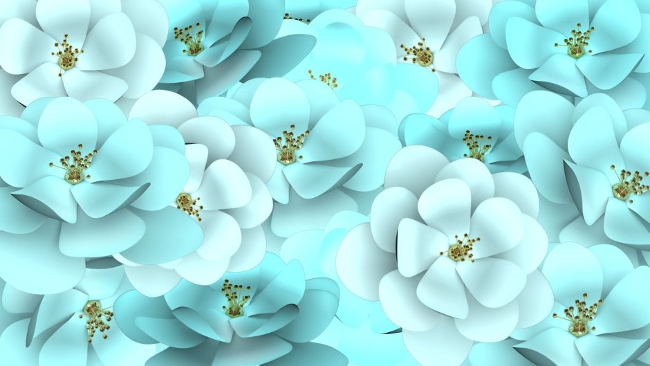 Цветы на бирюзовом фоне