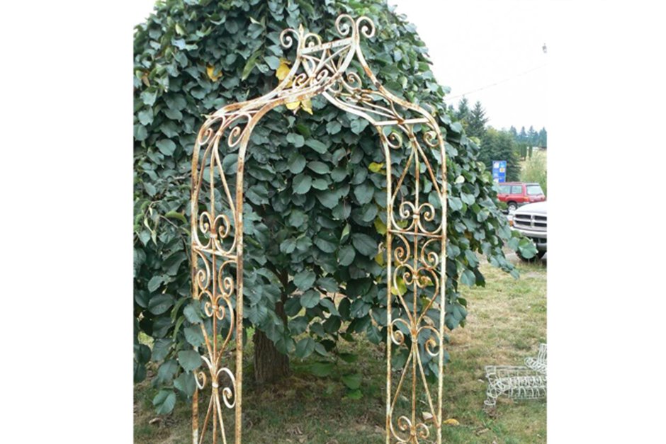 Кованая арка для розы плетистой