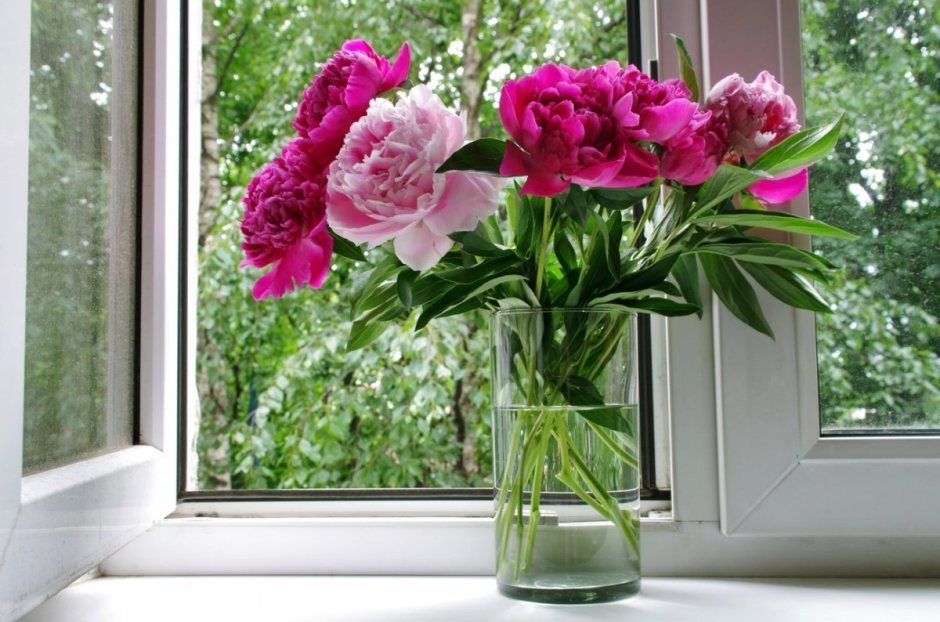 Цветы в вазе