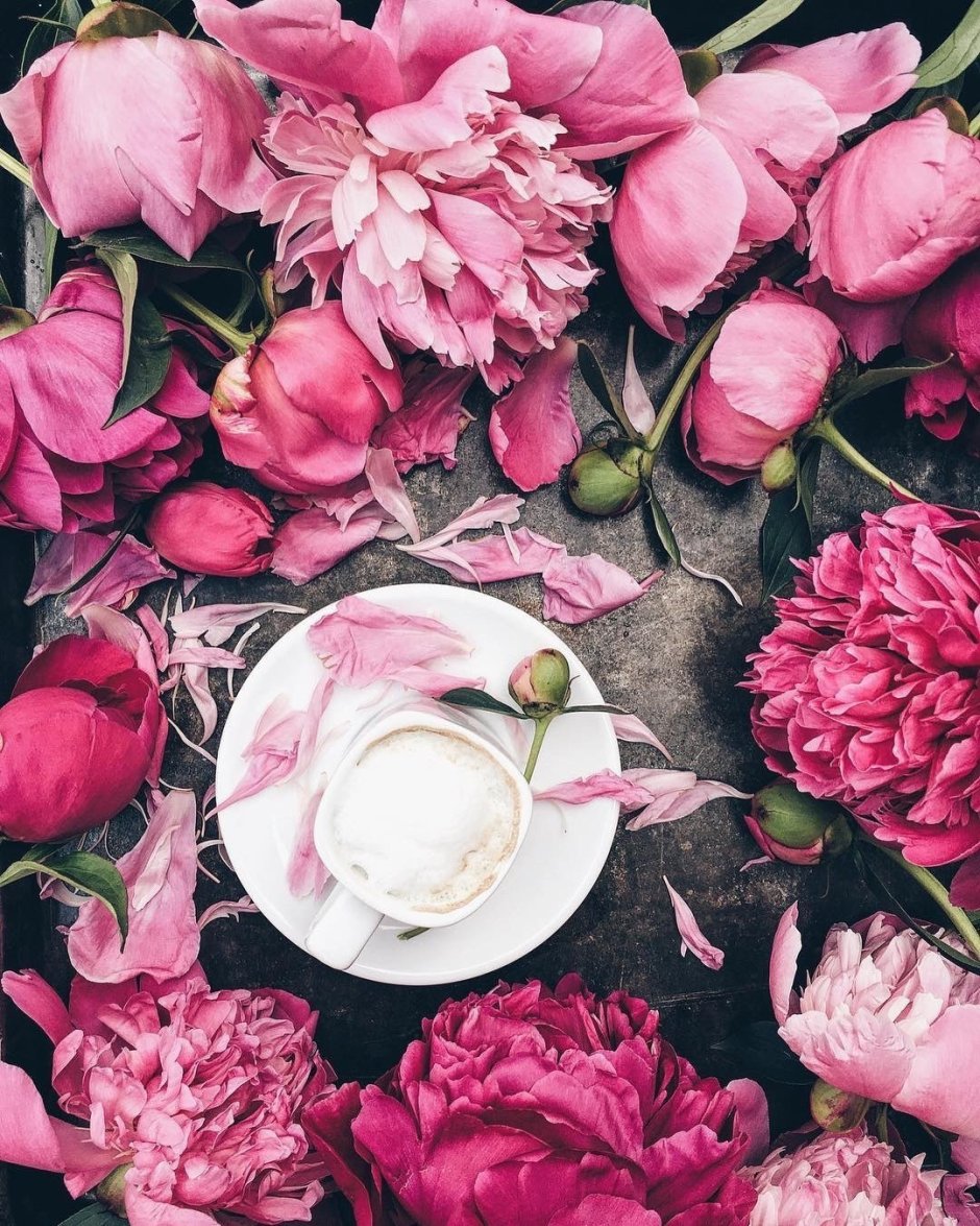 Розовые пионы и кофе
