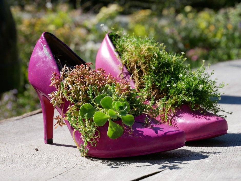 Туфли с растениями