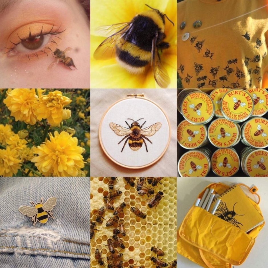 Эстетика пчёл и мёда