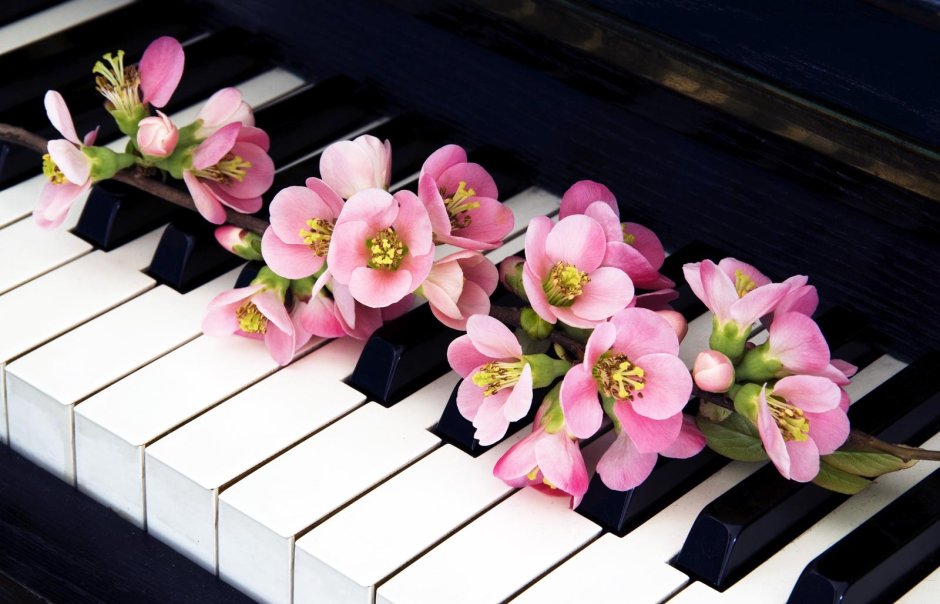 Тюльпаны на пианино