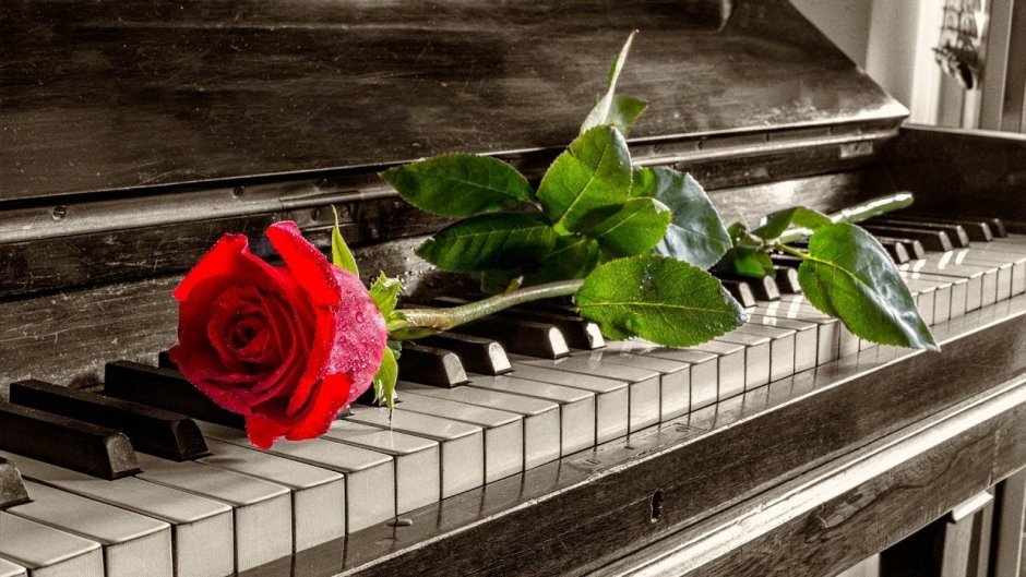 Пианино и красные розы