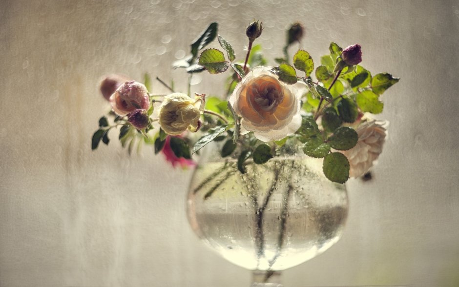 Одинокий цветок в вазе