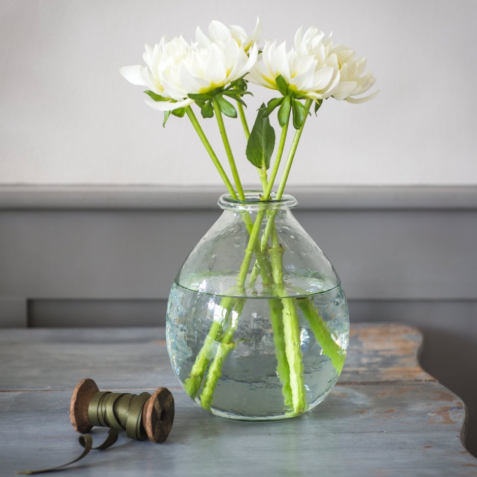 Растения в стеклянной вазе