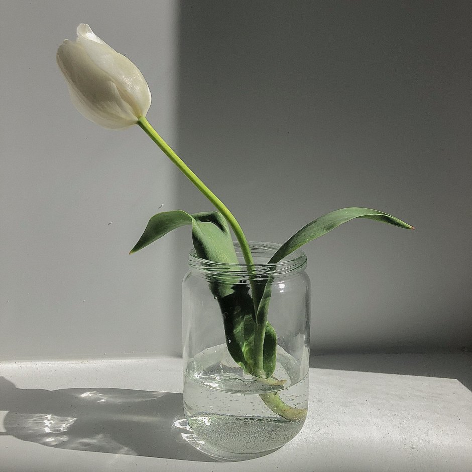 Стеклянная ваза тюльпаны