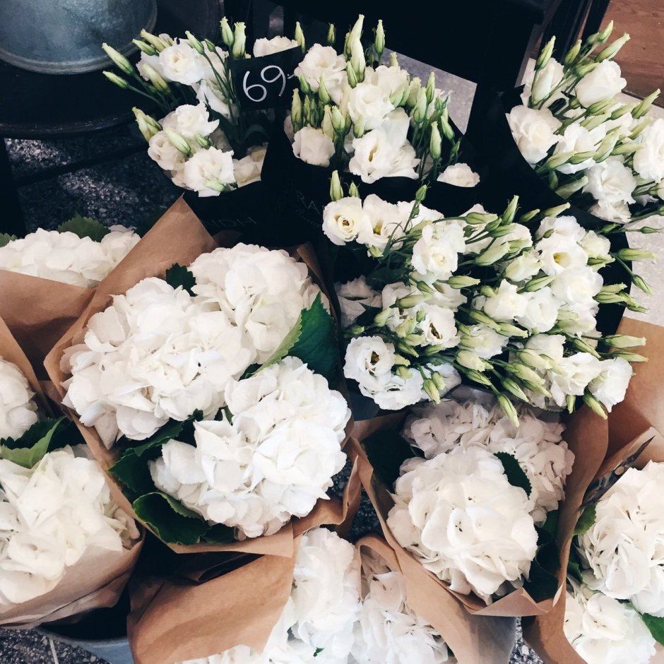 Белые цветы для Инстаграм