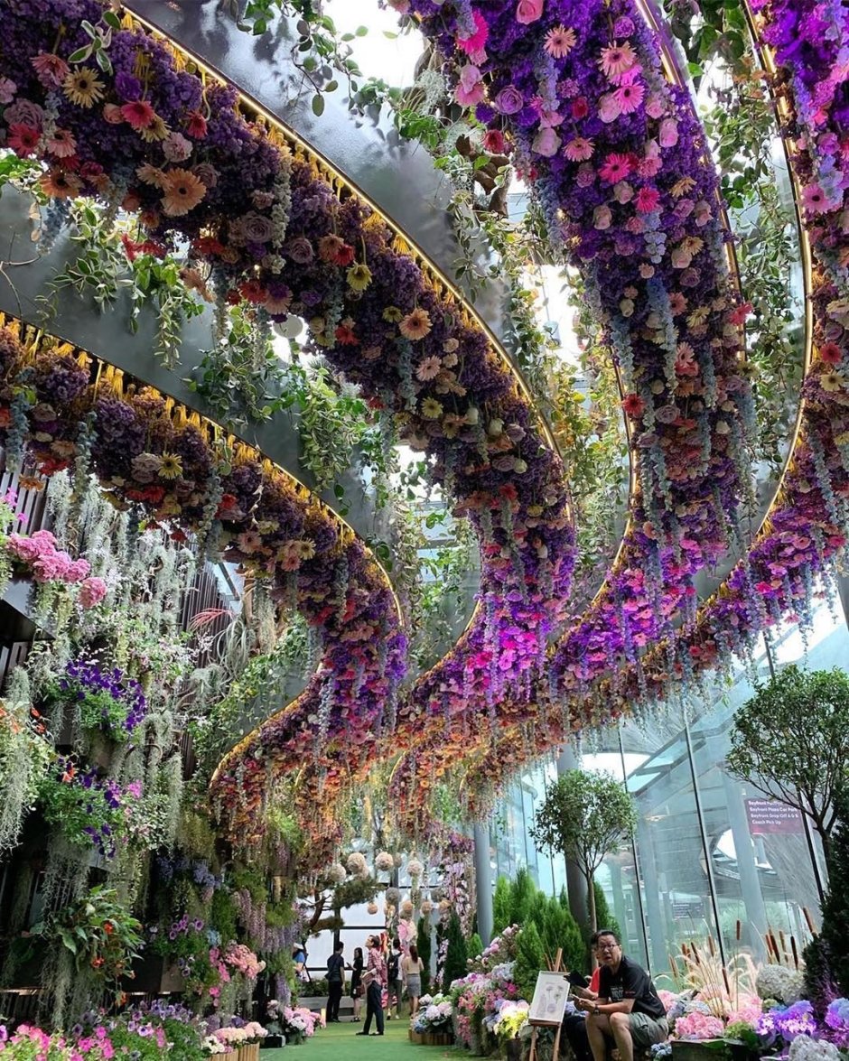 Сингапур, оранжерея 'Flower Dome'.
